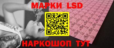 стафф Донецк
