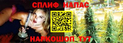 стафф Донецк