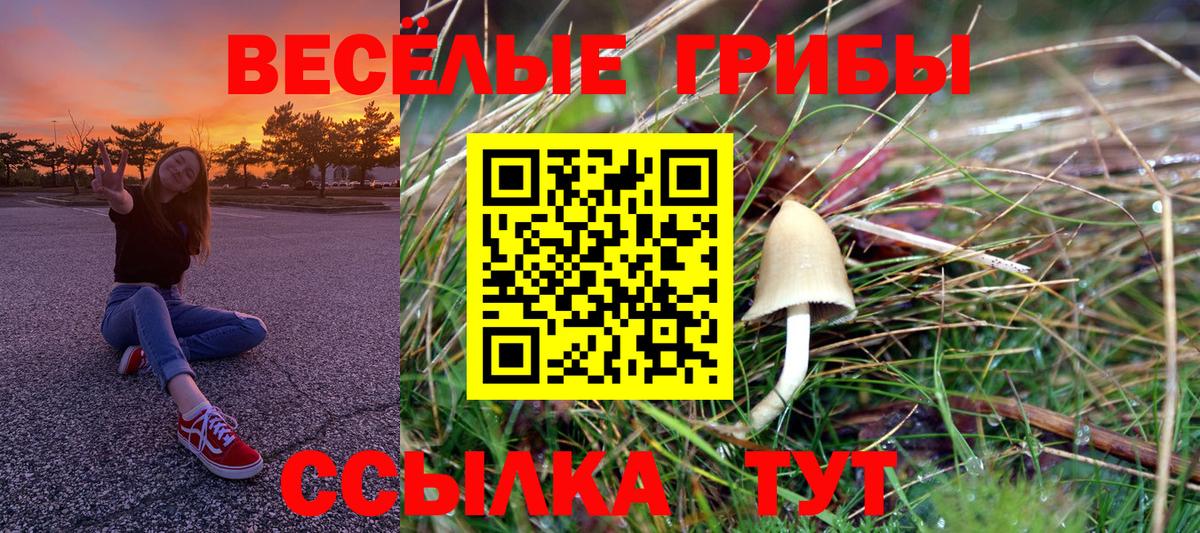 Псилоцибиновые грибы MAGIC MUSHROOMS  Вход с VPN  Новоалтайск 