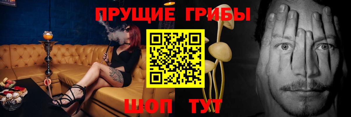 Галлюциногенные грибы прущие грибы Новоалтайск